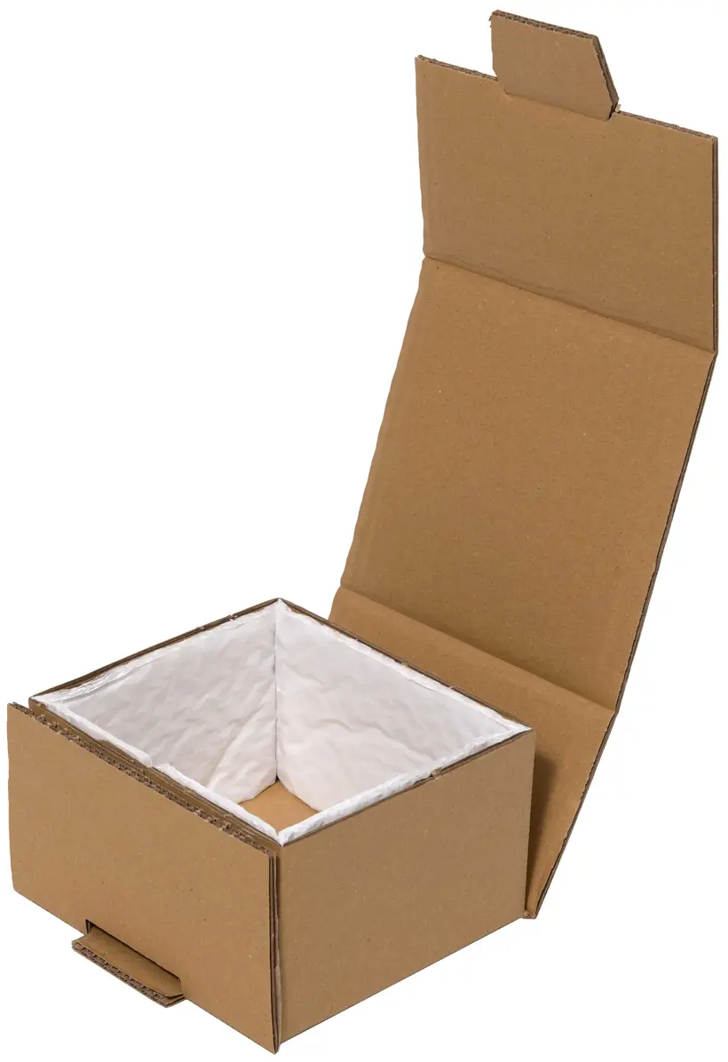 Stanzverpackung mit Papierpolster