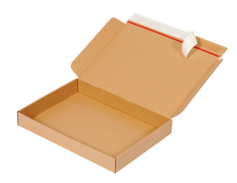 Wellp.Stanzkarton für Maxibrief, mit Selbstklebung und Aufreißfaden. Maxibrief Außenmaß 350 x 250 x 50mm