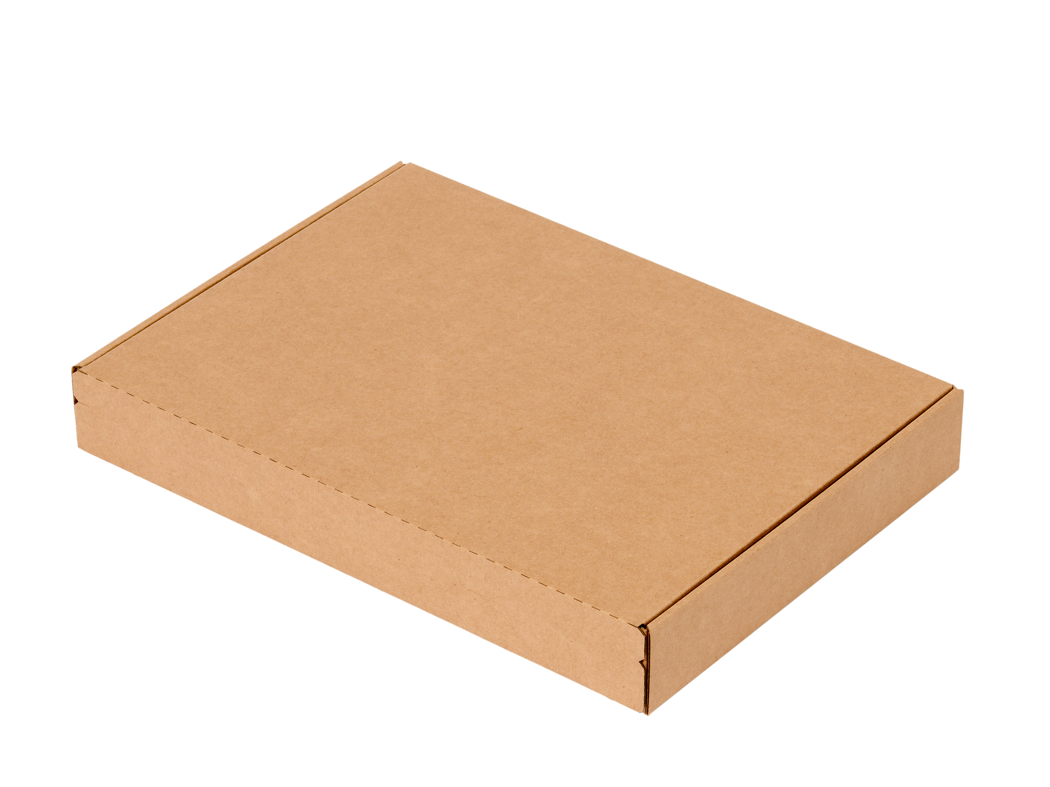 Wellp.Stanzkarton für Maxibrief, mit Selbstklebung und Aufreißfaden. Maxibrief Außenmaß 350 x 250 x 50mm