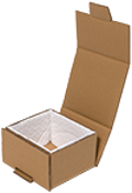 Stanzverpackung mit Papierpolster